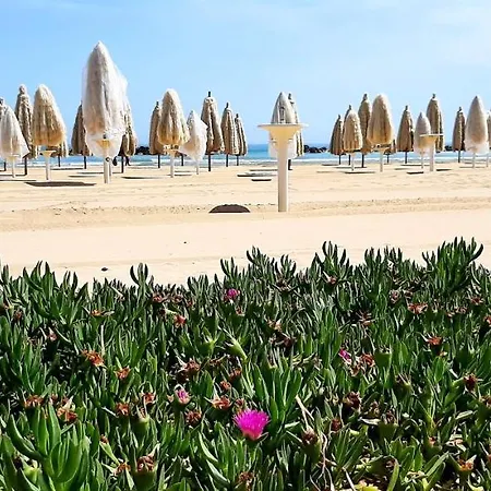 Delicious Francavilla Al Mare