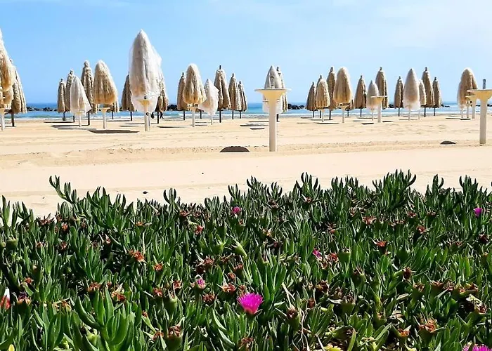 Delicious Francavilla Al Mare